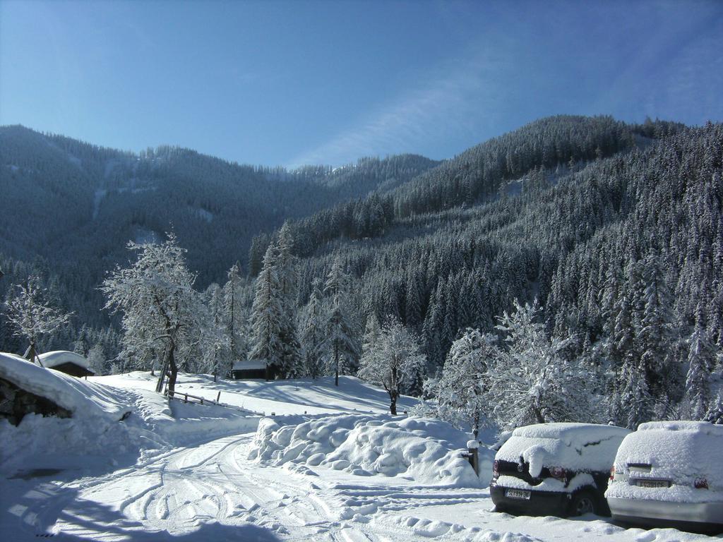 Biobauernhof Windbachgut Villa Eben Im Pongau Exterior photo